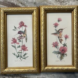 Gold Framed Hummingbird Art Prints